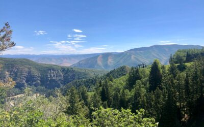 Hike the Stewart Falls Trail to One of Utah’s Most Photogenic Waterfalls
