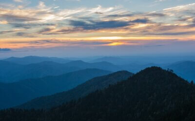 Latest Articles 6 15 Fun and Unique Things to do in Pigeon Forge with Kids on a Smoky Mountain Getaway
