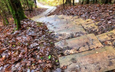 Latest Articles 5 Hiking in Latvia: How to Experience a Culture Rooted in Nature.