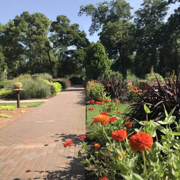 IMG 92240 fc17a0525056b3a fc17a229 5056 b3a8 4959b3602385594b