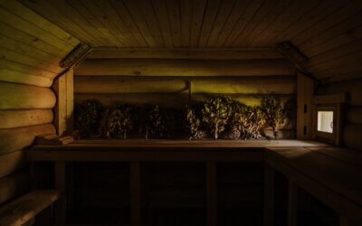 Latest Articles 4 Why A Latvian Sauna Experience Is Worth Abandoning Your Comfort Zone