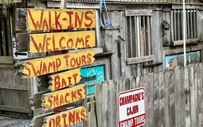 Top Things to Do in Lafayette and How to Explore the Heart of Acadiana