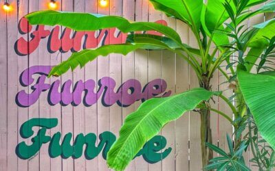 Monroe-West Monroe: Two Cities, One Vibrant Community