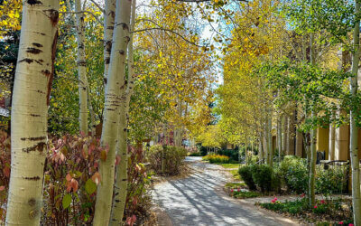 Latest Articles 4 4 Reasons Why Fall in Vail is the Perfect Off-Season Escape
